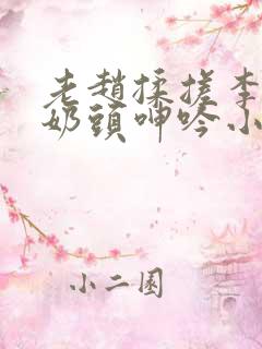 老赵揉搓李静的奶头呻吟小说阅读