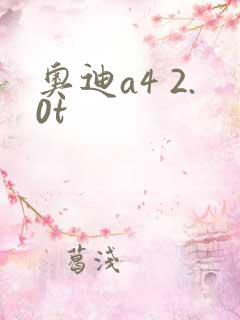 奥迪a4 2.0t