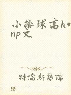 小排球高h啪肉np文