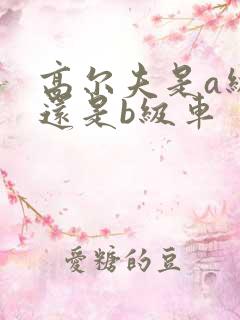 高尔夫是a级车还是b级车