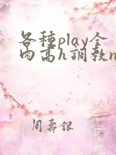 各种play全肉高h调教np