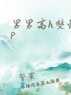 男男高h双性np