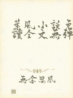 叶风小说免费阅读全文无弹窗 叶风小说免费阅读全文无弹窗