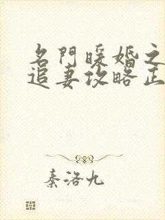 名门暖婚之权爷追妻攻略正版