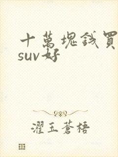 十万块钱买什么suv好