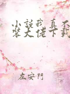 小说我真不是女装大佬下载