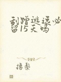 刮蹭逃逸必须拘留15天吗