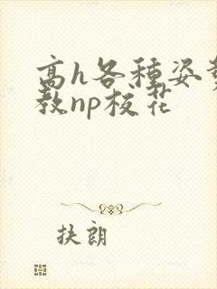 高h各种姿势调教np校花