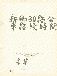 新乡30路公交车路线时间表