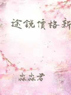 途锐价格新款