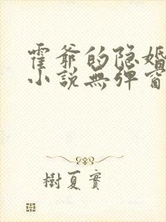 霍爷的隐婚罪妻小说无弹窗