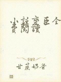 小说变臣全文免费阅读
