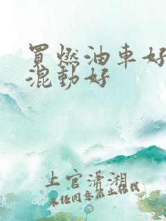 买燃油车好还是混动好