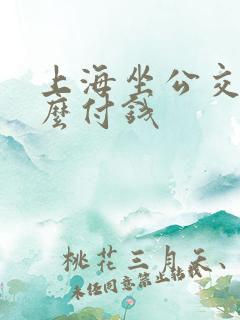 上海坐公交车怎么付钱