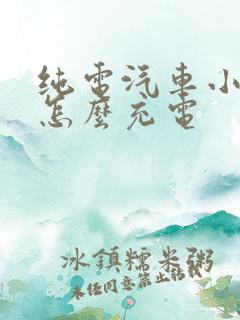 纯电汽车小电瓶怎么充电 纯电汽车小电瓶怎么充电