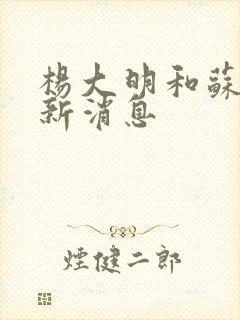 杨大明和苏晴最新消息