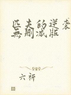 匹夫的逆袭小说无删减版