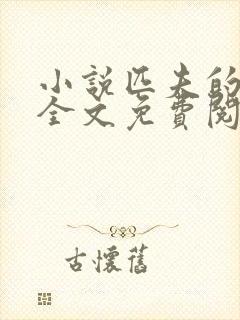 小说匹夫的逆袭全文免费阅读免费