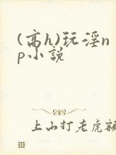 (高h)玩淫np小说