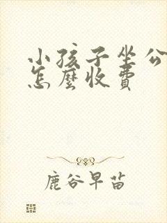小孩子坐公交车怎么收费