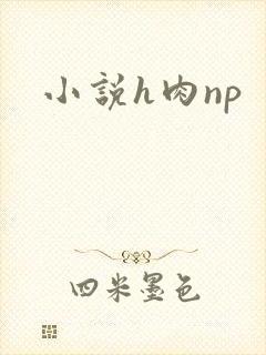 小说h肉np