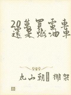 20万买电车好还是燃油车好