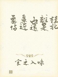 象鼻山离桂林西站近还是北站近