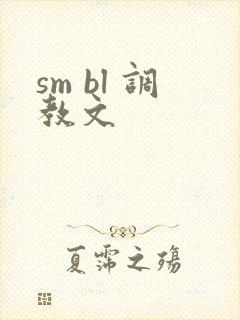 sm bl 调教文