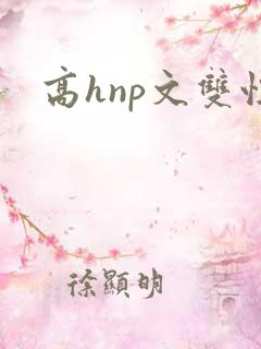 高hnp文双性