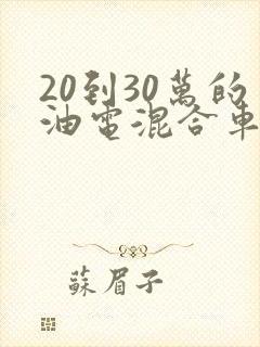 20到30万的油电混合车