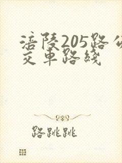 涪陵205路公交车路线