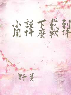 小说下载到本地用什么软件好