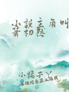 小说主角叫叶辰萧初然