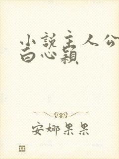 小说主人公李泽白心颖