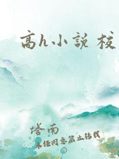高h小说 校园