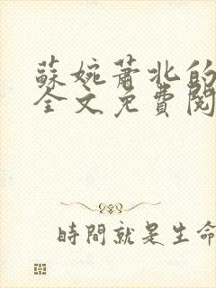 苏婉萧北的小说全文免费阅读