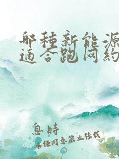 哪种新能源汽车适合跑网约车