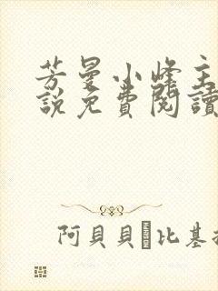 芳曼小峰主角小说免费阅读