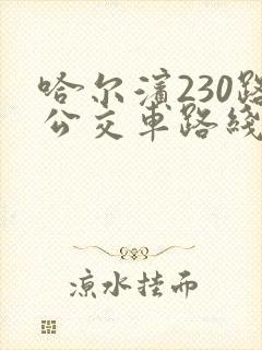 哈尔滨230路公交车路线