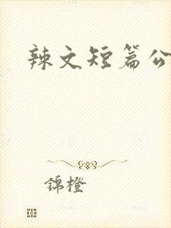 辣文短篇公车