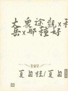 大众途观x和探岳x哪种好