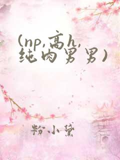 (np,高h,纯肉男男)