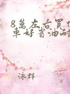 8万左右买什么车好省油耐用