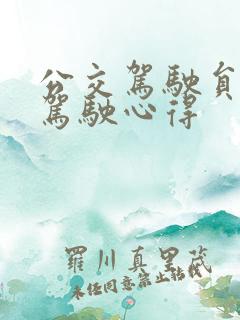 公交驾驶员安全驾驶心得