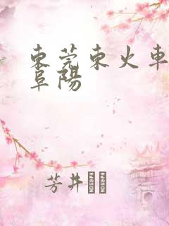 东莞东火车站到阜阳 东莞东火车站到阜阳