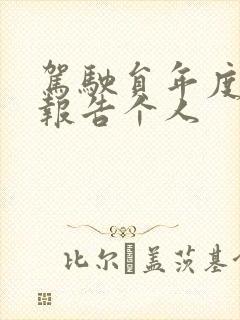 驾驶员年度总结报告个人 驾驶员年度总结报告个人