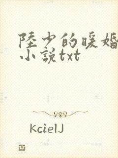 陆少的暖婚新妻小说txt 陆少的暖婚新妻小说txt