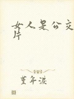 女人是公交车影片