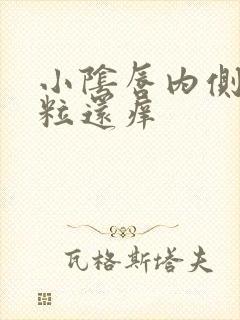小阴唇内侧有肉粒还痒
