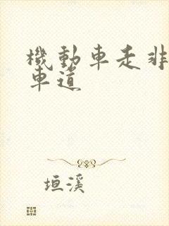 机动车走非机动车道